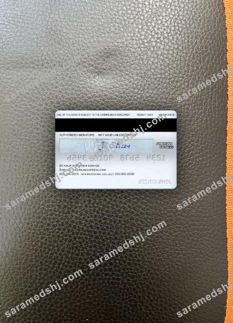 USA Citibank AMEX everyday® credit card photolook back